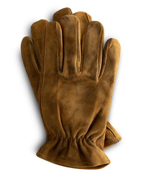 Grady + James - Waylon Glove Gold Rush studio image