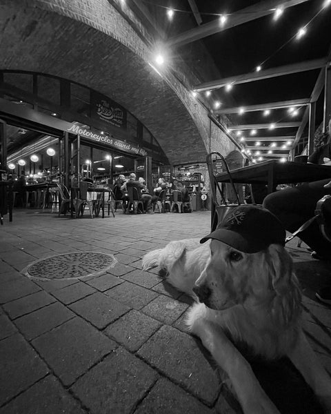 A black, unstructured baseball cap with an embroidered Bike Shed Moto Co. logo on the front.